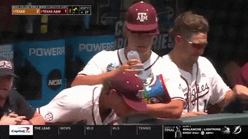 World Series Whoop GIF by Texas A&M University