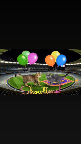 Showtime GIF