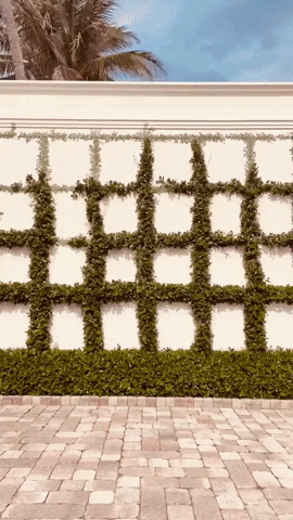 GIF by SENLIS