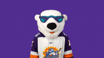 Mascot Reaction GIF by Orlando Solar Bears