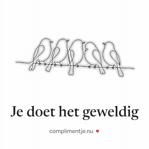Birds Keep Going GIF by Complimentje