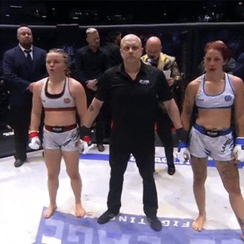 Ufc Winning GIF by Sani Brännfors