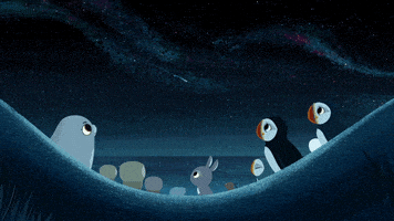 #puffinrock #puffin #rock #friends #family #meteor #shower #love GIF by Puffin Rock