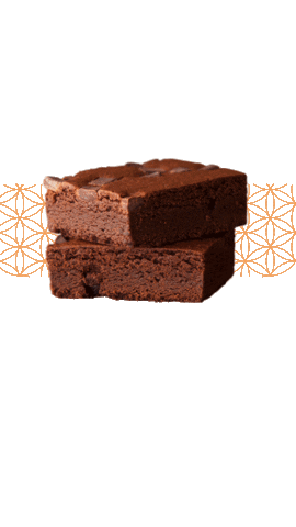 Brownieinclusivo Sticker by browniedare