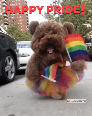 Happy Pride GIFs - Get the best GIF on GIPHY