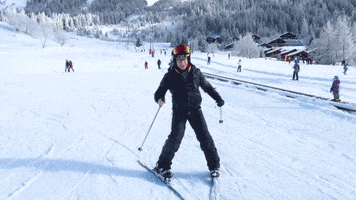Youtube Skiing GIF by tyler oakley