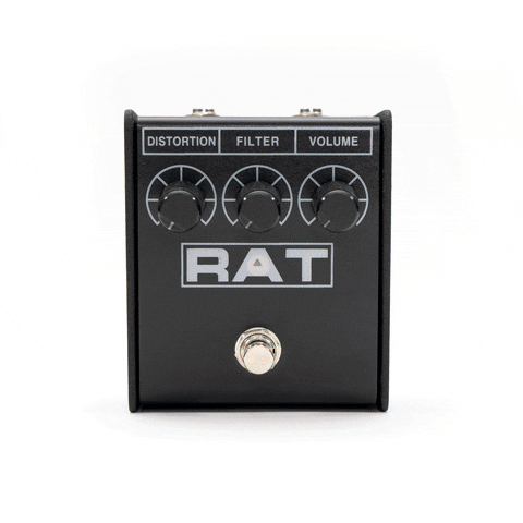 Holy Grail Rat GIF by JHS Pedals
