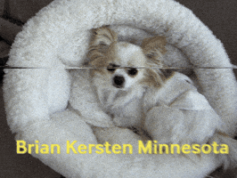 Brian Kersten Minnesota GIF
