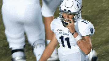 Happy Old Dominion GIF by ODU Football