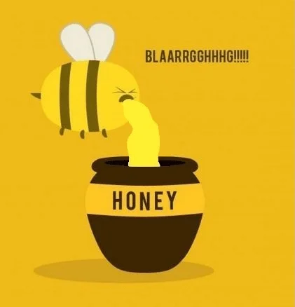 Honey Bee GIF