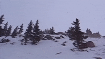 Ski Crash Arapahoe Basin GIF