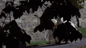 Exorcist GIF