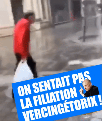 Zemmour GIF