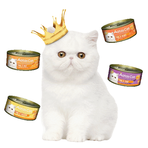 Sticker by Pets Club SG