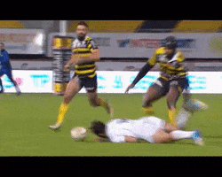 pro d2 GIF by Stade Montois Rugby