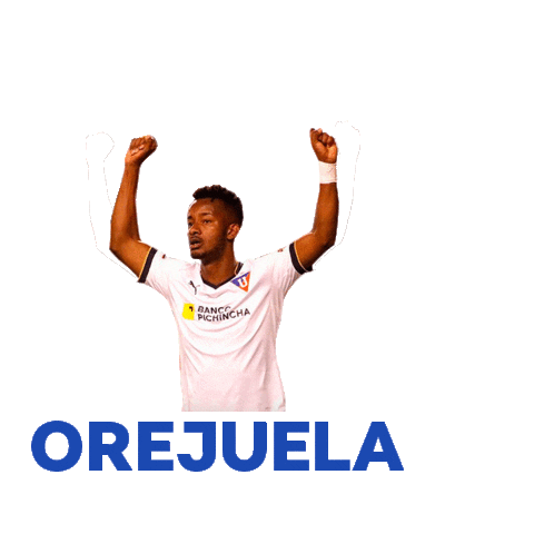 Sticker by Avante Sports