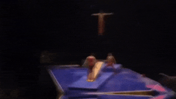Flip Teamwork GIF by Ringling Bros. and Barnum & Bailey