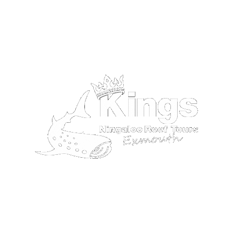 KingsNingalooReefTours Sticker