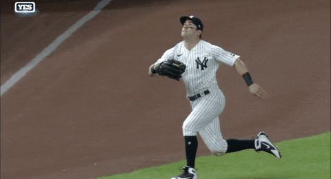 New York Yankees Shower GIF by MLB - Find & Share on GIPHY
