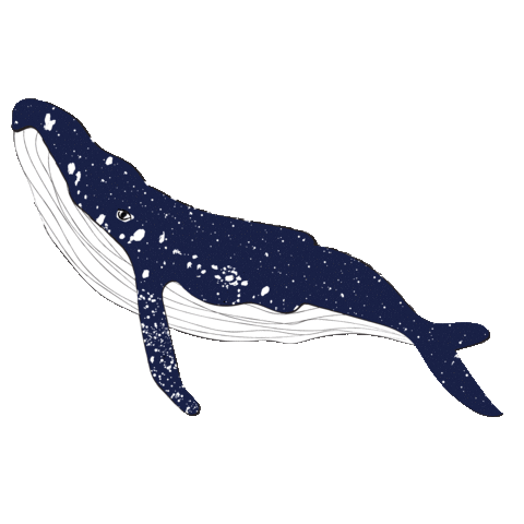 Whale Swimming Sticker by Teaspoon studio