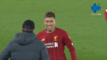 Fans Liverpool GIF by MolaTV