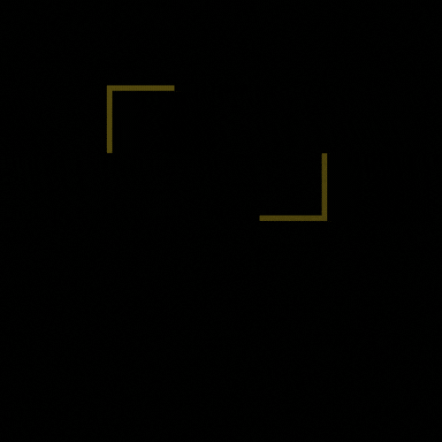 Sport's Fundamental GIF