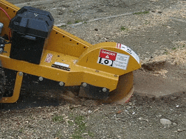 Tree Care GIF