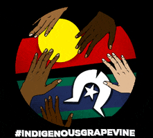 First Nations Naidoc GIF by Indigenous Grapevine