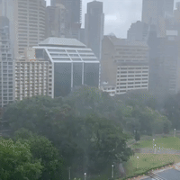 Thunderstorm Hits Sydney as 'Wild Weather' Reported Across New South Wales