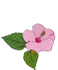 pink women Sticker by sarokey