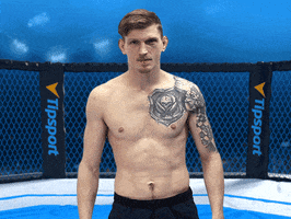 Mma Ufc GIF by Tipsport