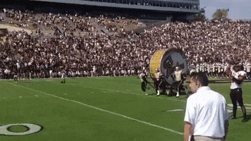 Onlypurdue GIF by Purdue Office of Admissions