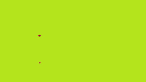 giphy.gif?cid=ecf05e476cd6b41110bdbb3f941710cce406d0adcf633a58&rid=giphy.gif