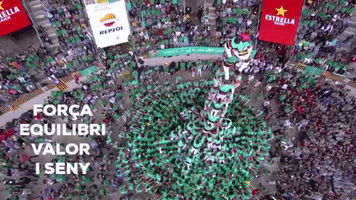 Castellers de Vilafranca GIF