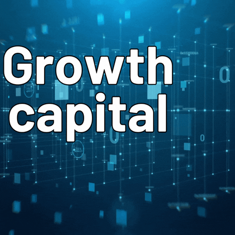 zolaystudio unicorn startup equity venturecapital GIF