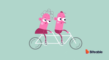 Bike Bicycle GIF by Biteable