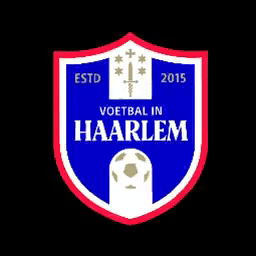 Voetbal in Haarlem GIF