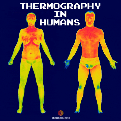 thermohuman thermal thermal camera thermography thermohuman GIF