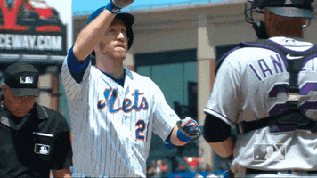 ny mets celebration GIF by New York Mets