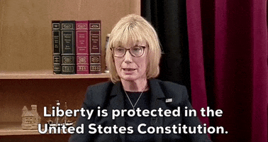 New Hampshire Constitution GIF by GIPHY News