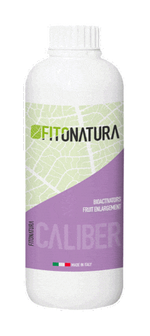 Caliber Ripening Sticker by pasaddak.agro