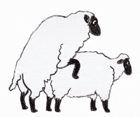 Sheep-cartoon GIFs - Get the best GIF on GIPHY