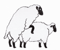 Sheep-cartoon GIFs - Get the best GIF on GIPHY Sheep-cartoon GIFs - Get the best GIF on GIPHY