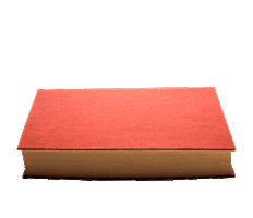 Beer Sticker by Sacromonte