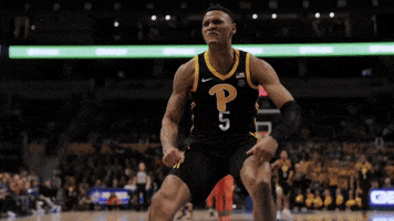 Happy College Basketball GIF by Pitt Panthers