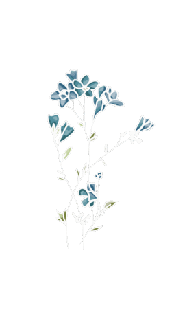 Nature Sticker
