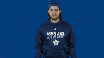 Hockey Clap GIF by Toronto Marlies