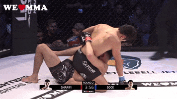 Mma Bjj Triangle Choke Submission GIF by We love MMA