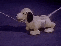 Dog Toy GIF by victoriacatwalkdog - Find & Share on GIPHY