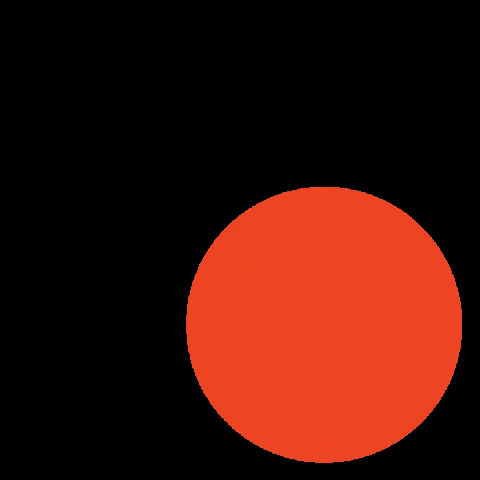 Nationfield GIF by Nation Insights